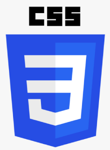 CSS Training in liverpool